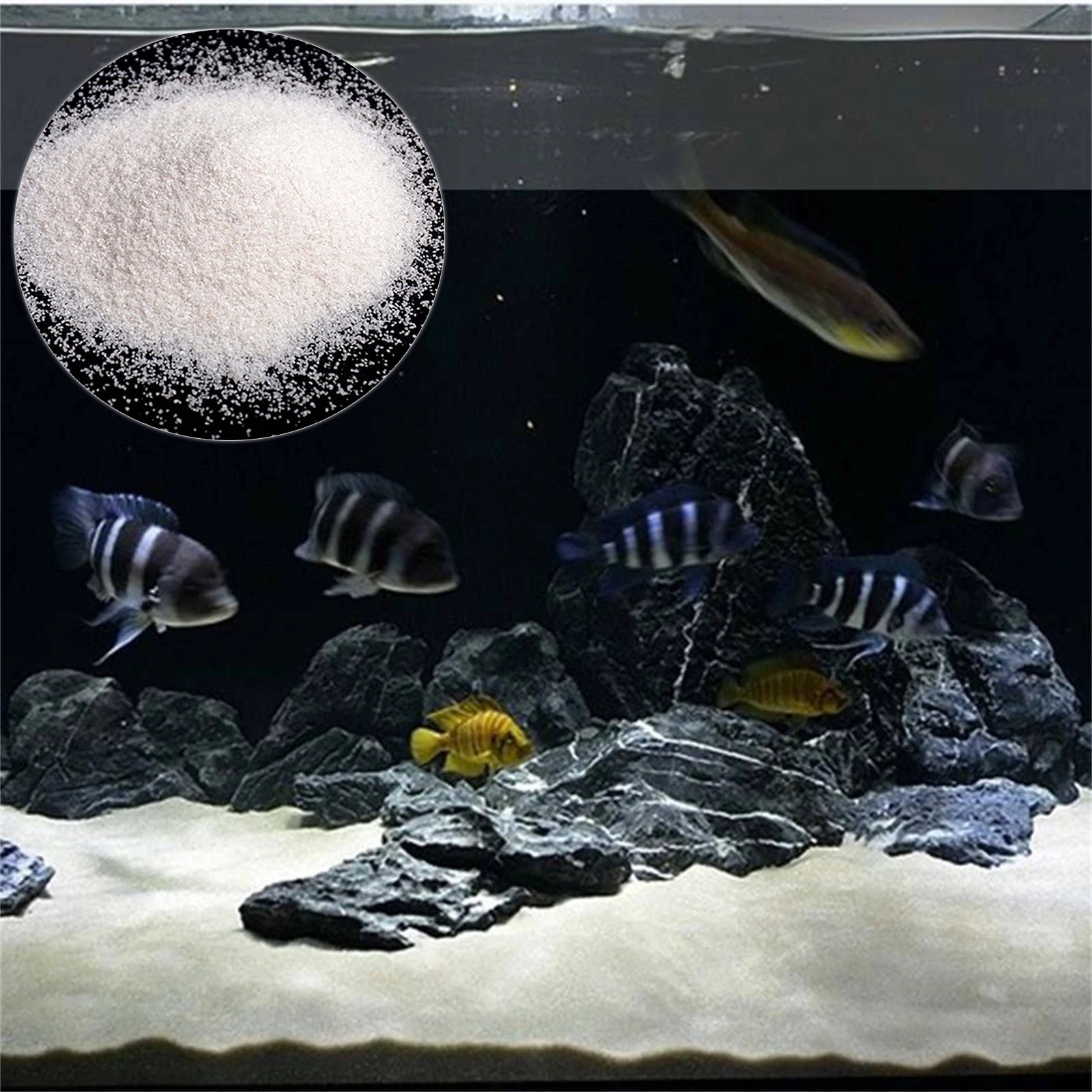 b1f222f3fccf49fa9ea2e305e58ca9db-goods